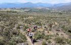 Grupo de ciclistas de montaña en la senda hacia Campillo de Ranas
