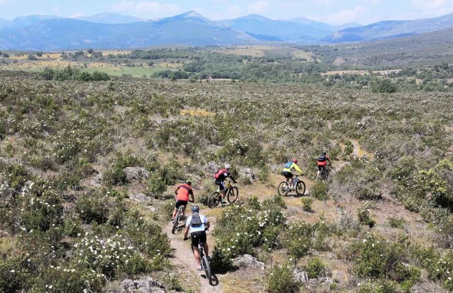 Grupo de ciclistas de montaña en la senda hacia Campillo de Ranas