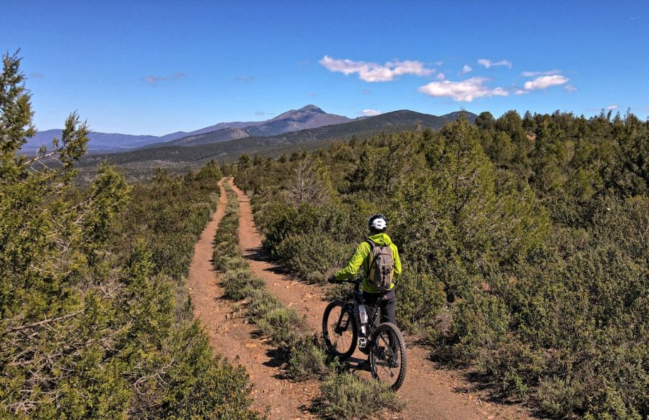 Pista al este de Tamajón en dirección norte con pico Ocejón de fondo