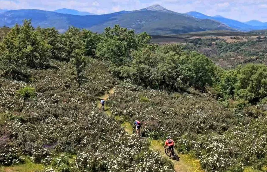 Descenso en ese hacia Roblelacasa por el GR60